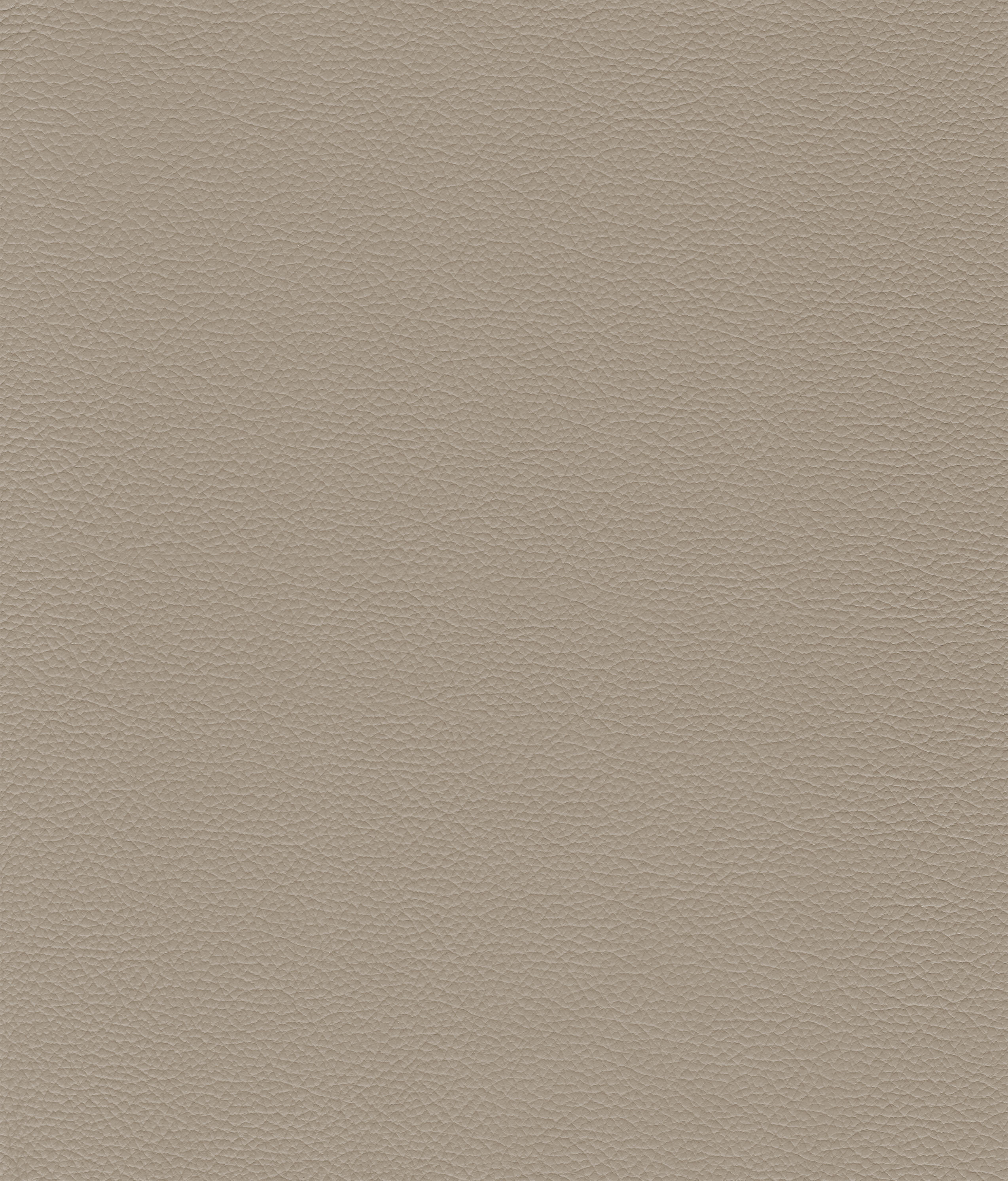 Taupe 4458